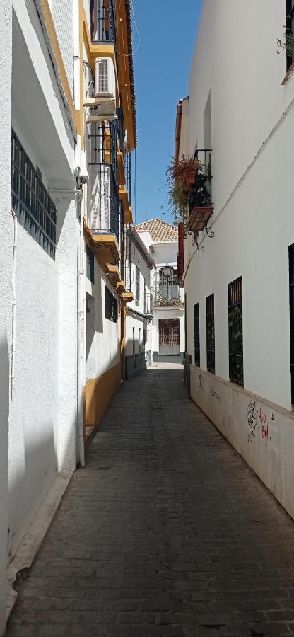 Apartamento Casco Historico Con Atico. Apartment Seville Exterior photo